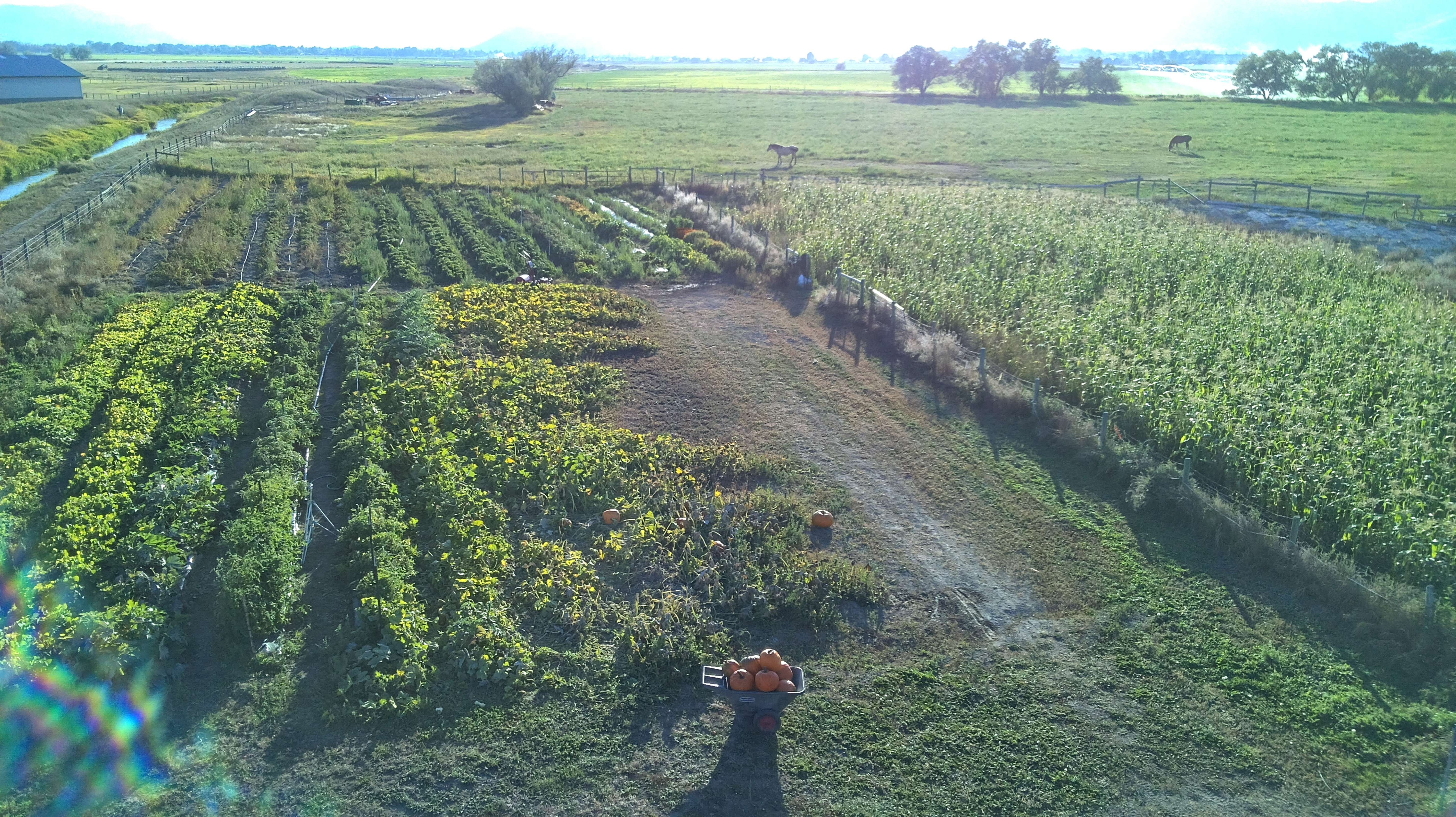 Mid Valley Farm — Helena Valley, Montana