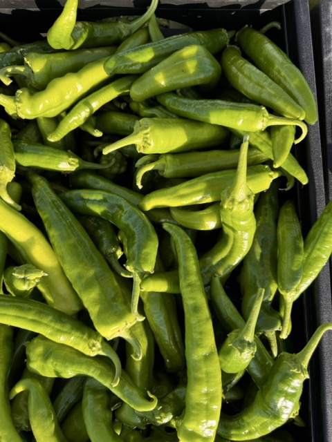 Green Chile