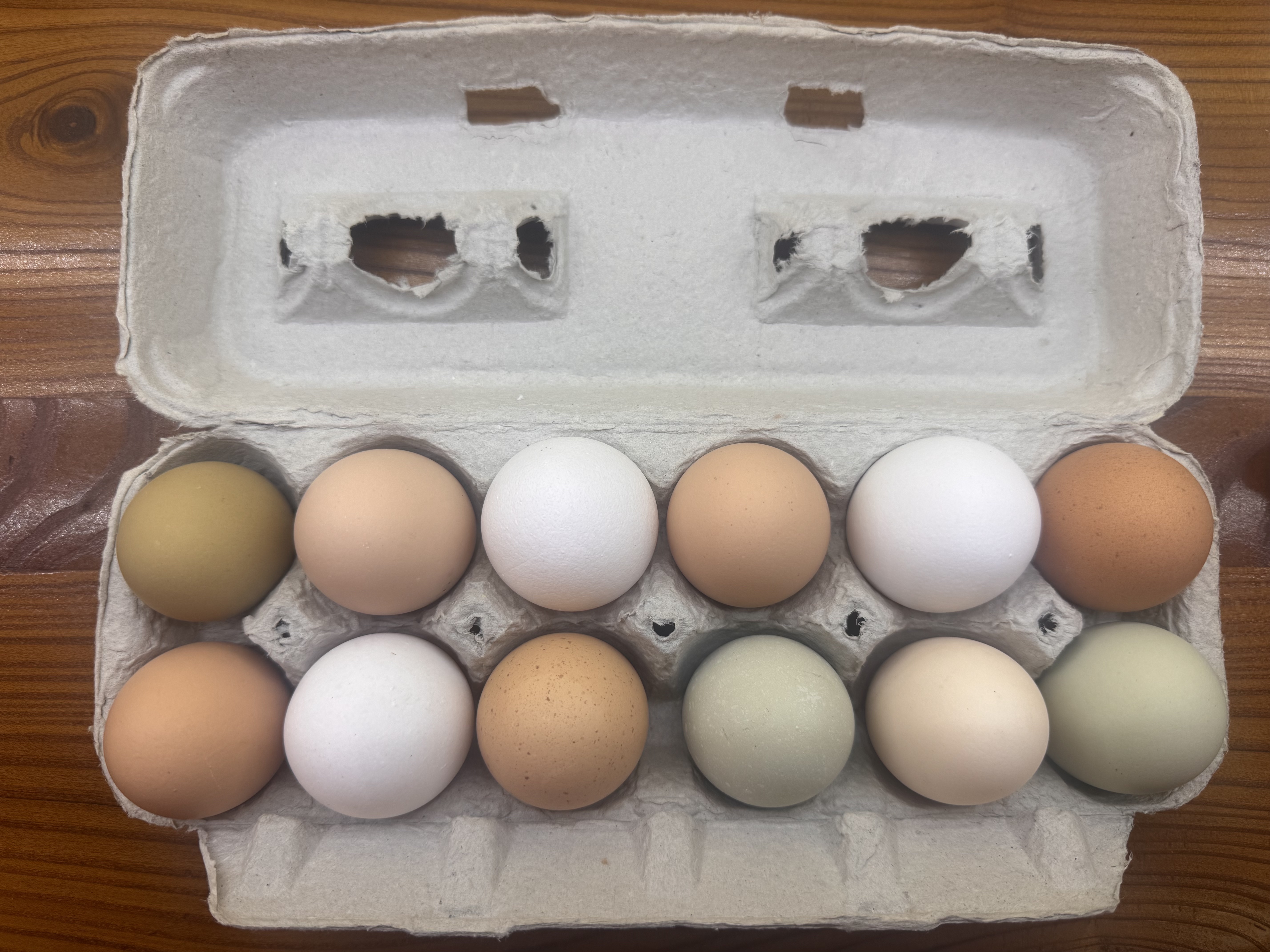 Farm Eggs (dozen)