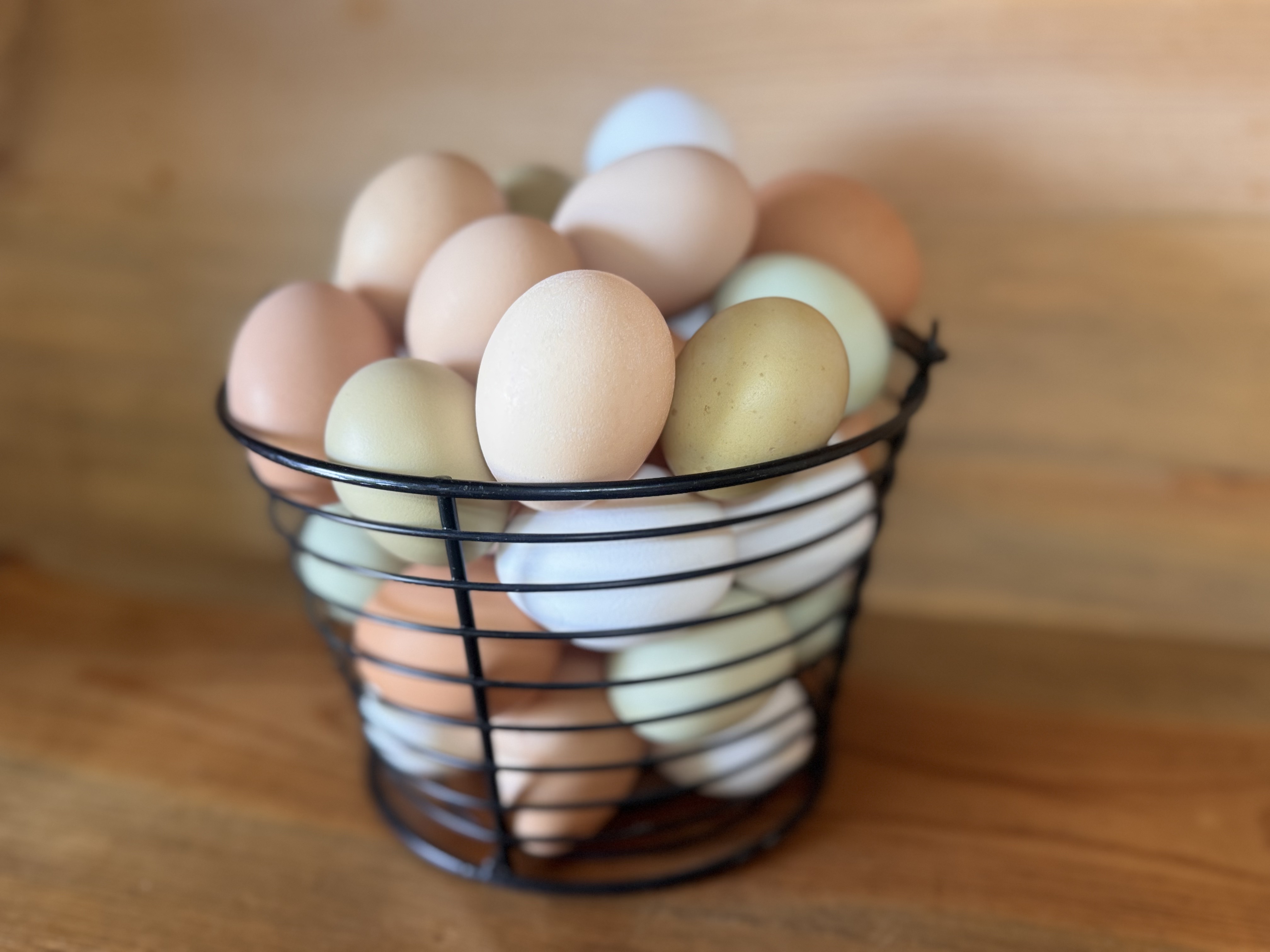 Eggs