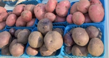 Potatoes