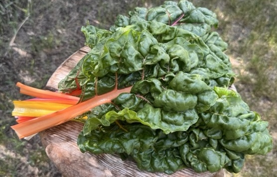 Chard