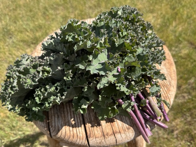 Kale