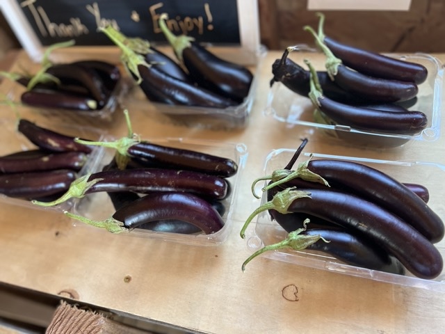 Eggplant