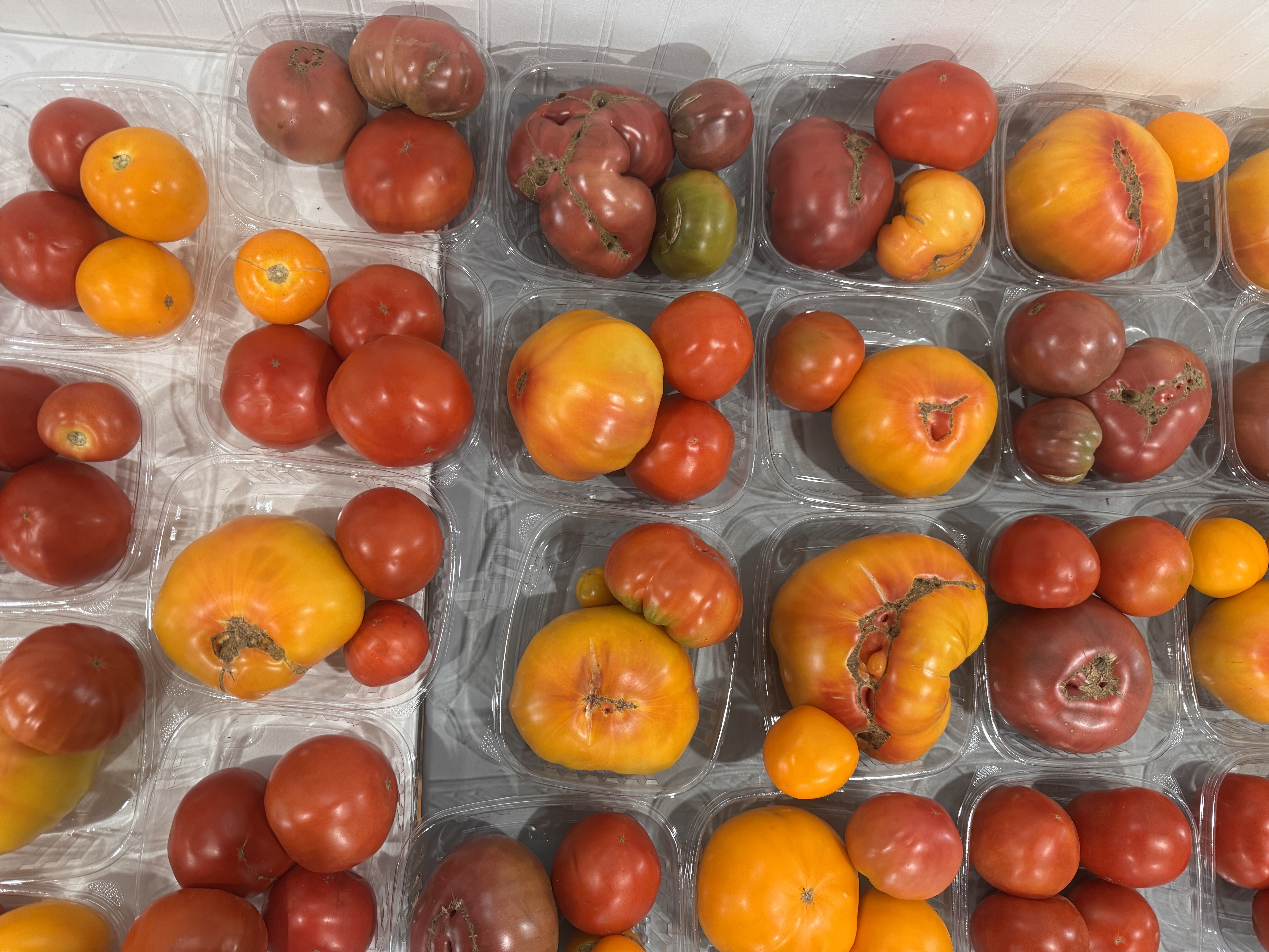 Farmstand photo