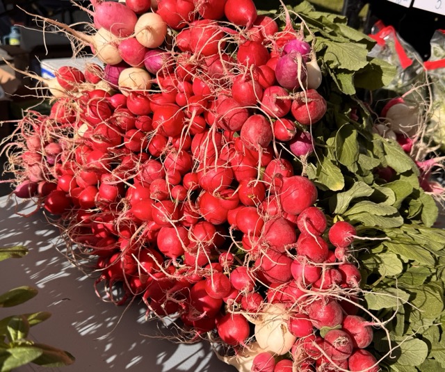 Radishes