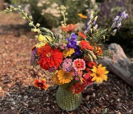 Cut Flowers