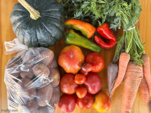 Produce CSA